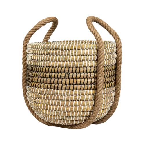 Kansgrass